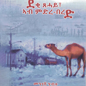 ደቂ ጸሓይ ኣብ ምድሪ በረድ