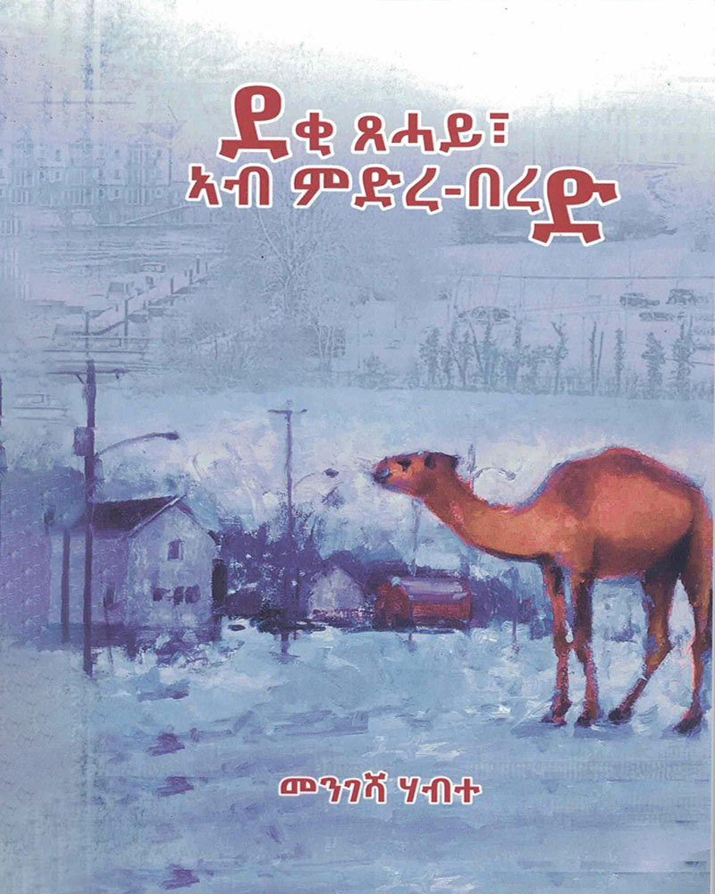 ደቂ ጸሓይ ኣብ ምድሪ በረድ